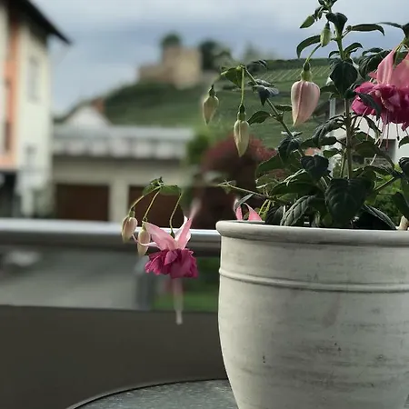 Rosalie Burgblick Lejlighed Hecklingen (Emmendingen)